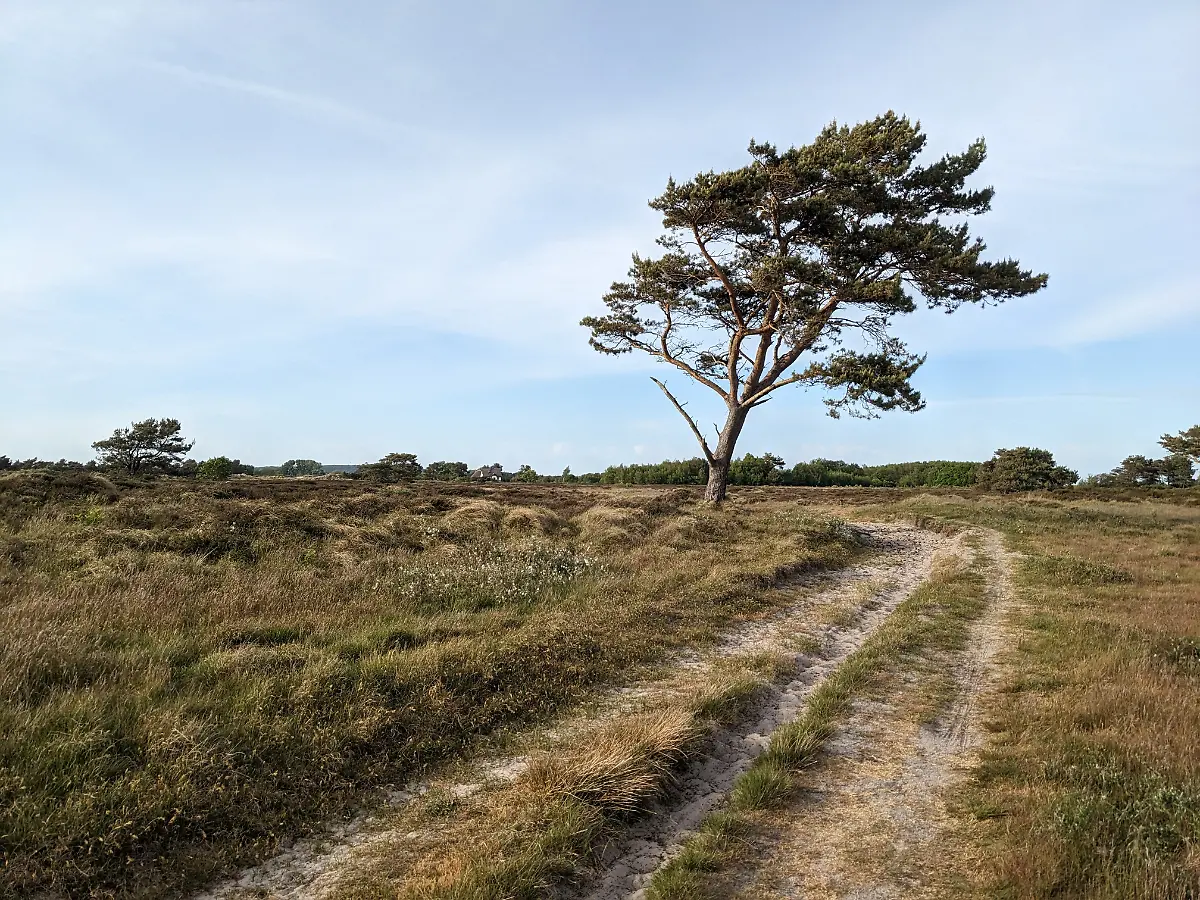 PXL-20230529-165517592