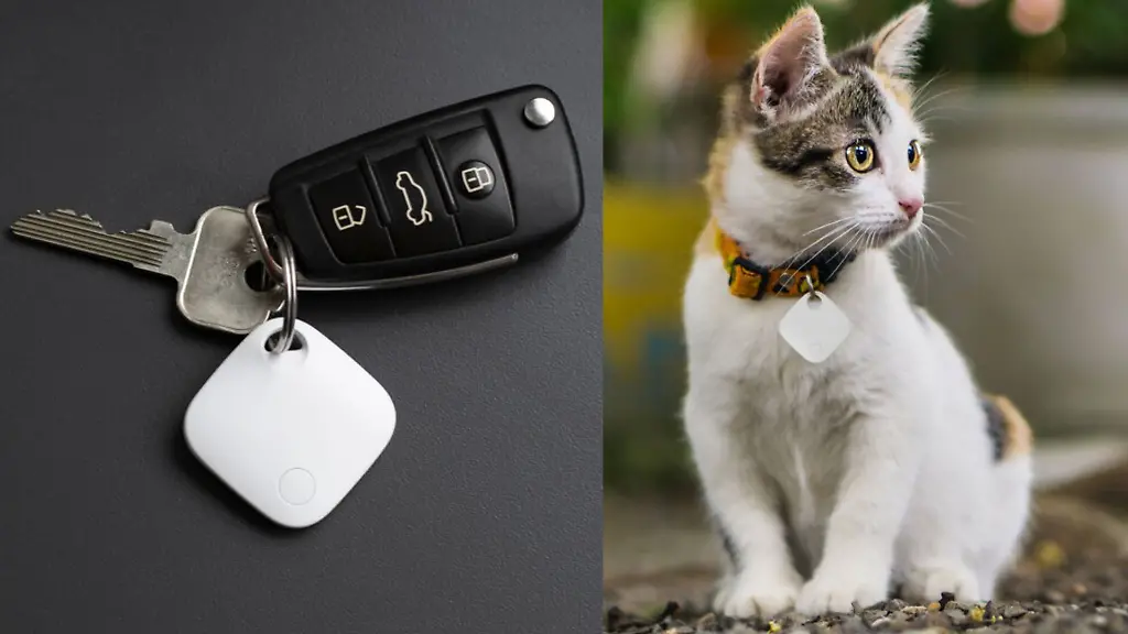 Mit-dem-Tracker-von-Aldi-lassen-sich-Gegenstaende-aber-auch-Haustiere-oder-Personen-orten