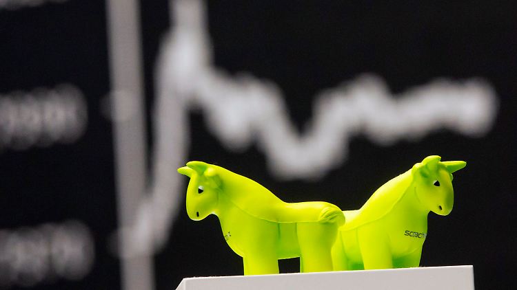 Zins-Hoffnungen und Trump-Politik treiben die Aktienmärkte an.