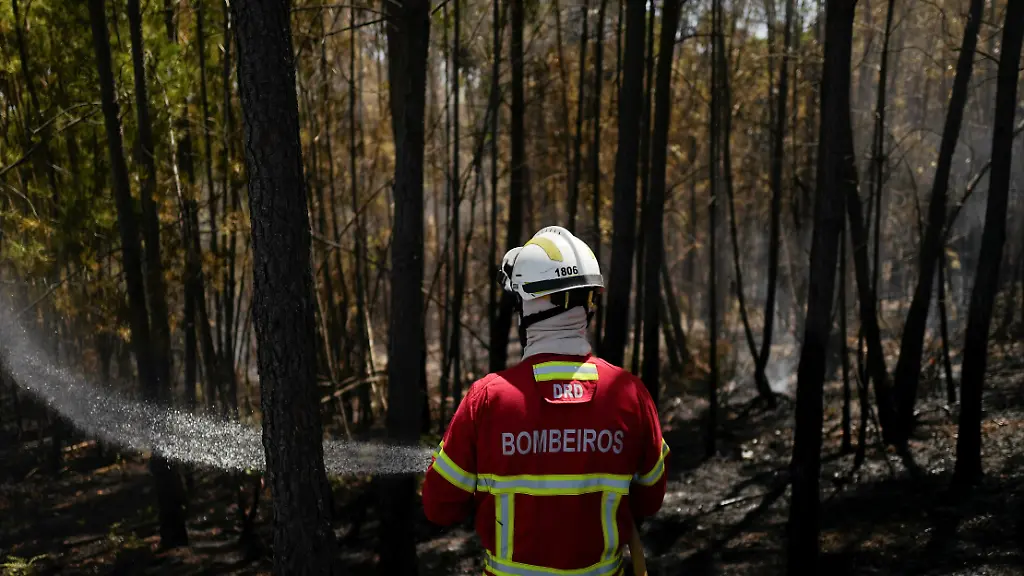 5a5f9e1664889df2af9339746951d8b7