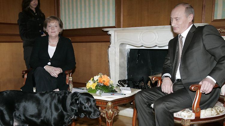 Putin spielte unter anderem mit Merkels Angst vor Hunden.
