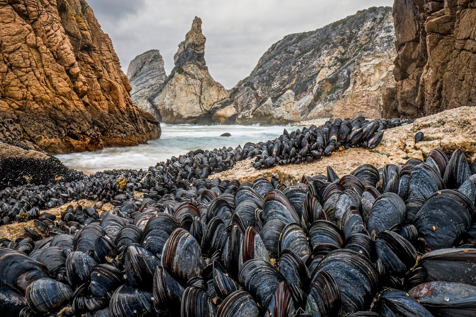 Wie faszinierende Landschaft mit all ihren unterschiedlichen Farben und Formen sein kann, das zeigen beindrucksvoll die "Natural Landscape Photography
Awards". Ein bisschen ...
