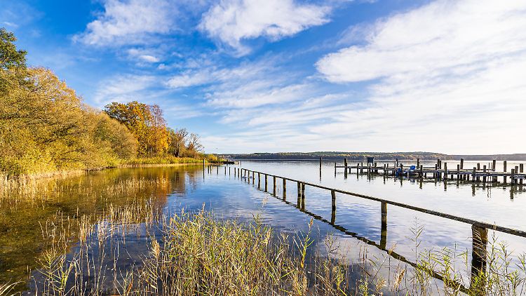 Weil niedrige Wolken Sonnenlicht reflektieren, kühlen sie die Erde.