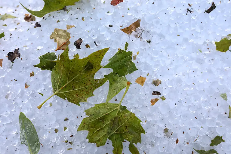 86fdb70921783ea3b3d473c004e964c0