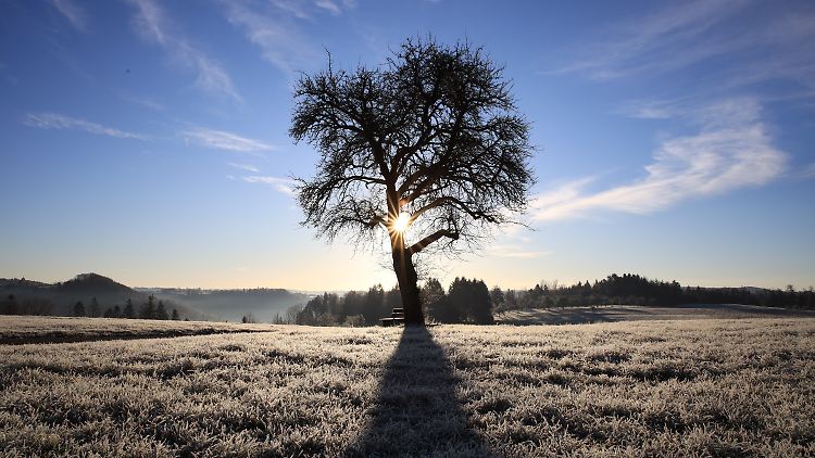 Gerade in den Morgenstunden ist der Anblick vielerorts in Deutschland schon winterlich.