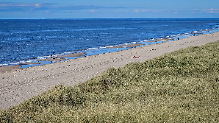 Strände wie diesen gibt es auf Sylt reichlich.
