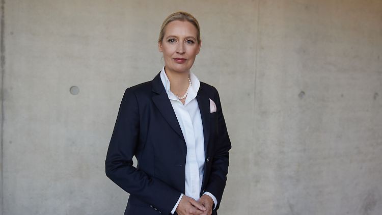 Ihr Styling ist ein Markenzeichen: Alice Weidel setzt auch als Kanzlerkandidatin auf ihren bekannten Look.