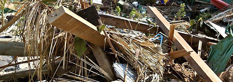 Rund 230.000 Menschen verlieren bei der Katastrophe ihr Leben, …