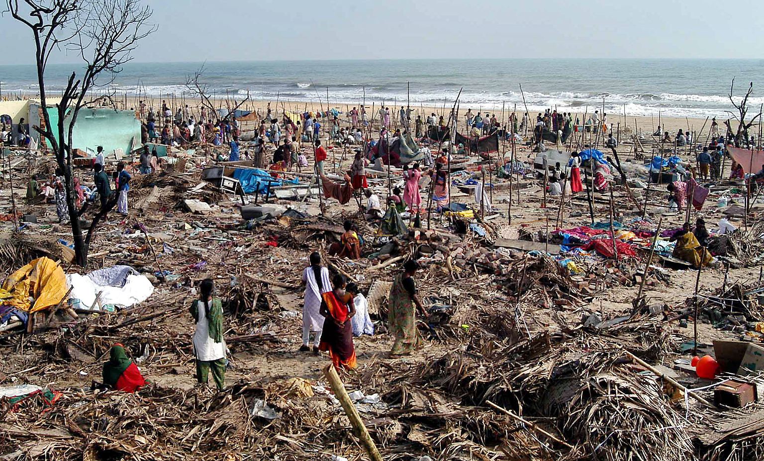 Tsunami 2004 Tote Nach Länder Katastrophe im Indischen Ozean: Tsunami 2004 - als die Welle