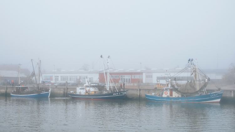 Die Netze der Nordseefischer werden im kommenden Jahr wohl öfter leerbleiben müssen.
