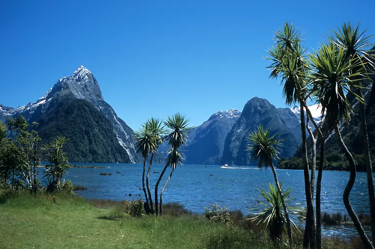 Bild-38-von-40-NZ-X211