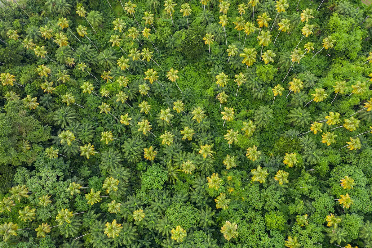 Bild-33-von-40-Mavic2-2021-12-14-050