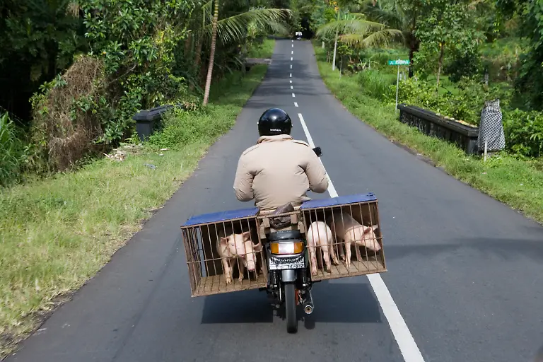 Bild-24-von-40-2009-01-29-008