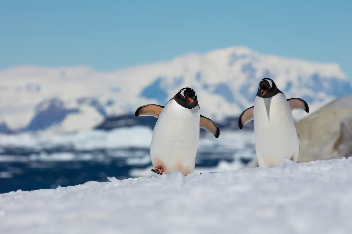 Bild-21-von-40-2016-01-13-072