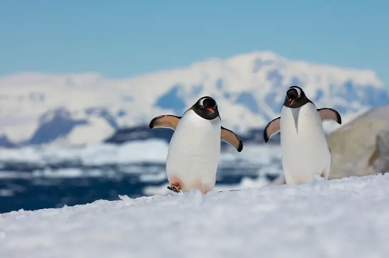 Bild-21-von-40-2016-01-13-072