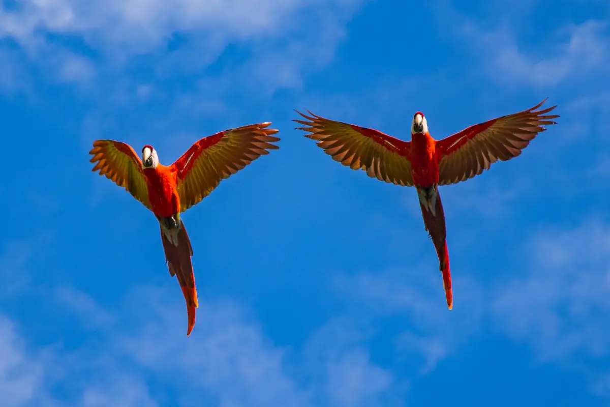 Bild-20-von-40-2023-01-14-029