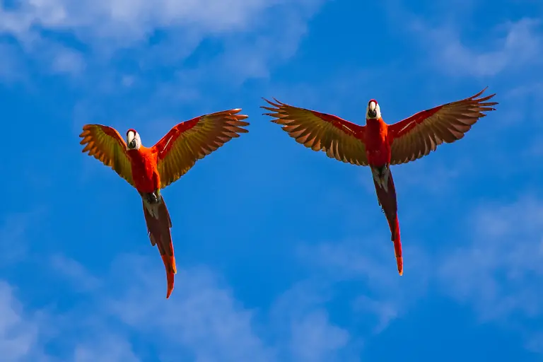 Bild-20-von-40-2023-01-14-029