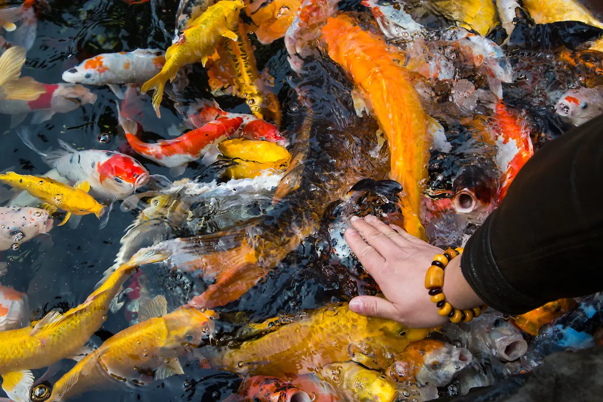 Bild-19-von-40-2014-01-30-074