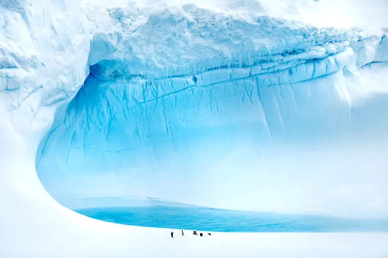 Bild-02-von-40-2010-02-01-091