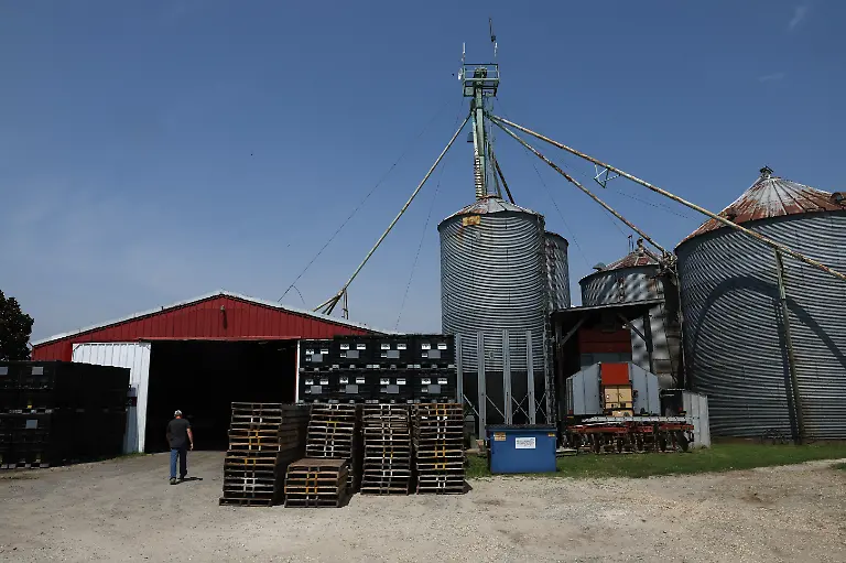 2023-08-02T110141Z-818059898-RC2QB2AF9VXJ-RTRMADP-3-USA-MEAT-REGULATION