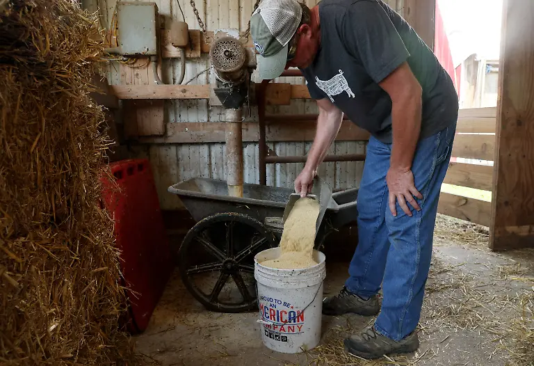 2023-08-02T110139Z-1312111688-RC2QB2AWELQZ-RTRMADP-3-USA-MEAT-REGULATION