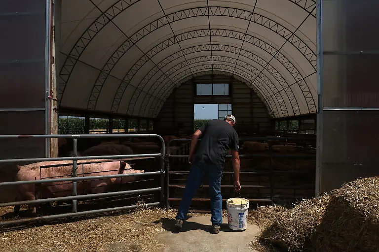 2023-08-02T110149Z-14530366-RC2QB2AKSR45-RTRMADP-3-USA-MEAT-REGULATION