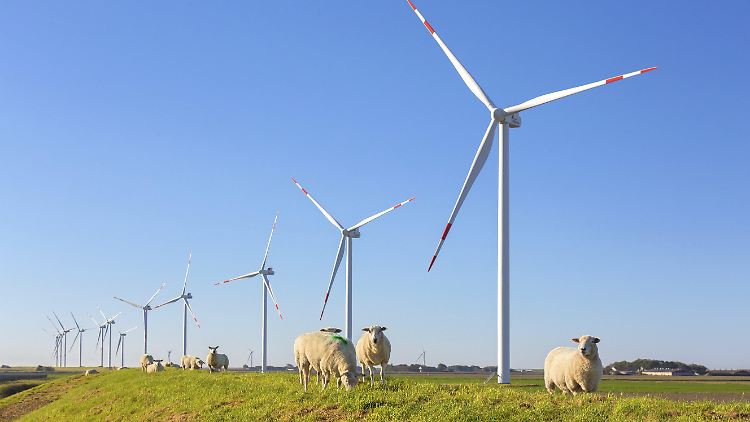 Im Gesamtjahr werden in Deutschland voraussichtlich 141 Terawattstunden Strom durch mithilfe von Windrädern erzeugt. 