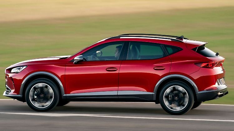 Die Submarke Cupra steht für ein noch sportlicheres Image als Seat - doch wie steht es um seine Qualitäten als Gebrauchtwagen?