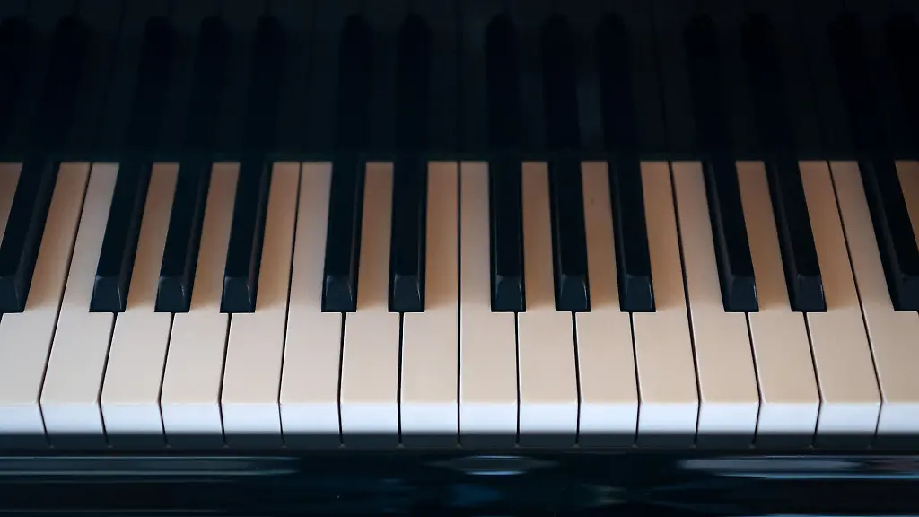 Ein-Fluegel-steht-in-einem-Wohnzimmer