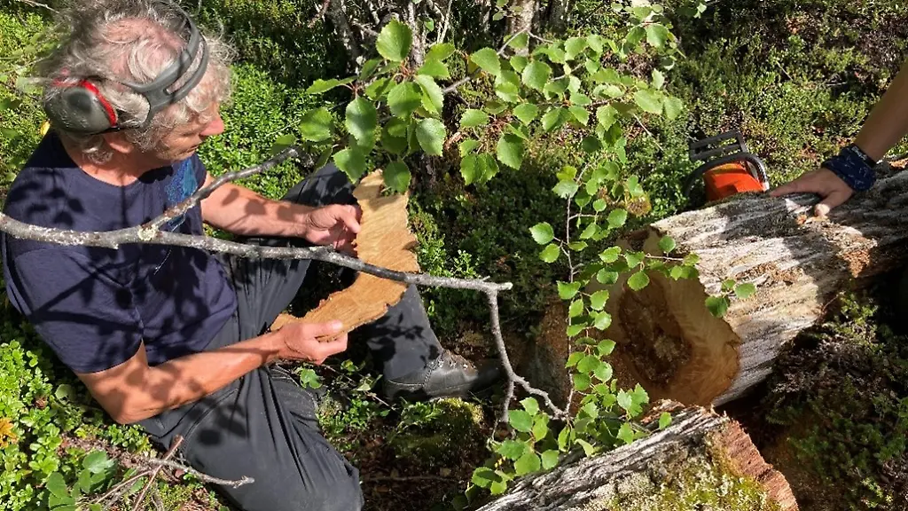 urn-binary-dpa-com-20090101-230731-99-627125-FILED