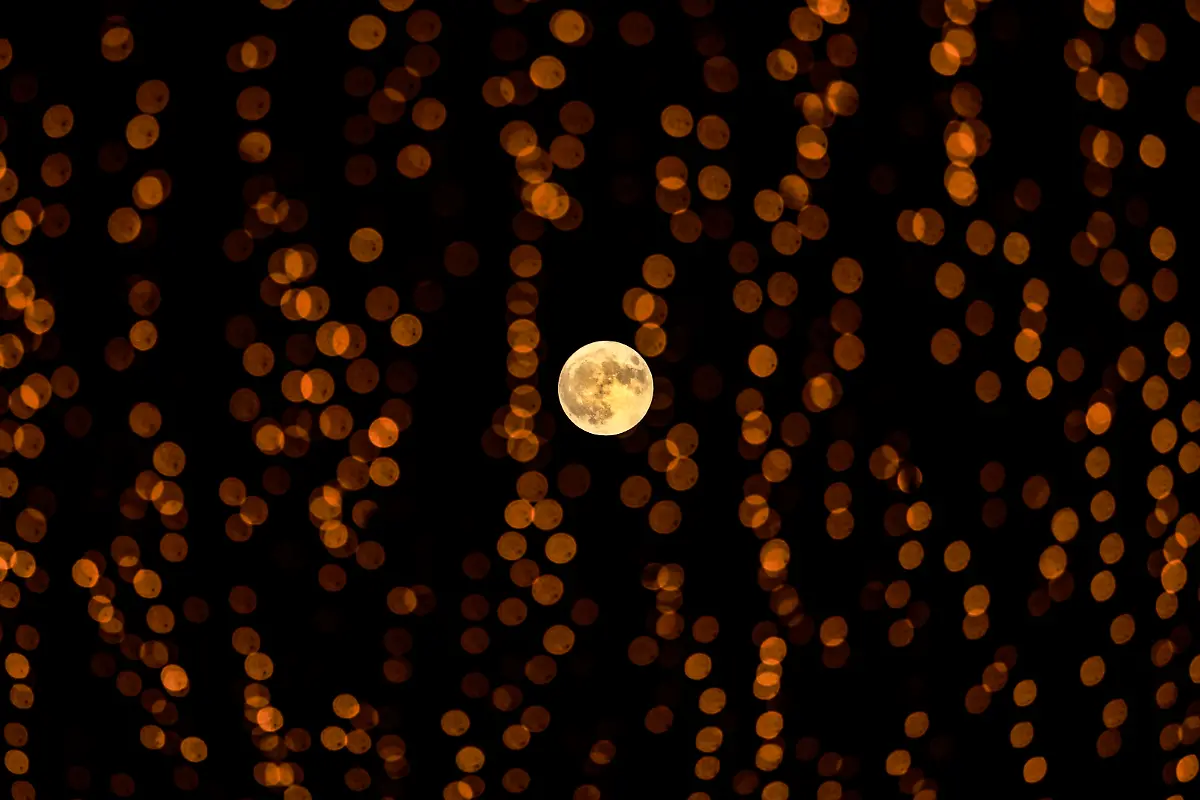 1d8123836e39af30d7dee47d5f4ddb72