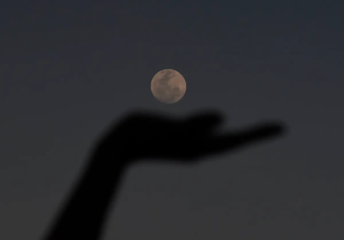 6af4feb77859901715a7ffeec14b374f