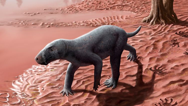Mallorca vor 270 Millionen Jahren: Rekonstruktion eines Gorgonopsiden in einer Flussaue.