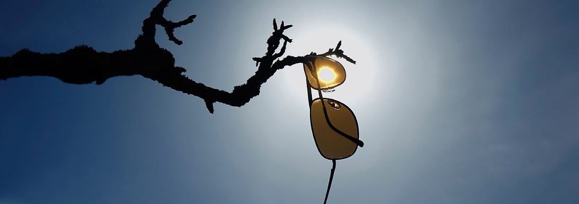 Eine Sonnenbrille hängt an einem kahlen Baum.