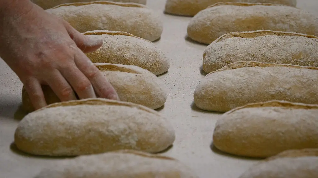 Brot-Teiglinge-liegen-in-einer-Backstube-nebeneinander
