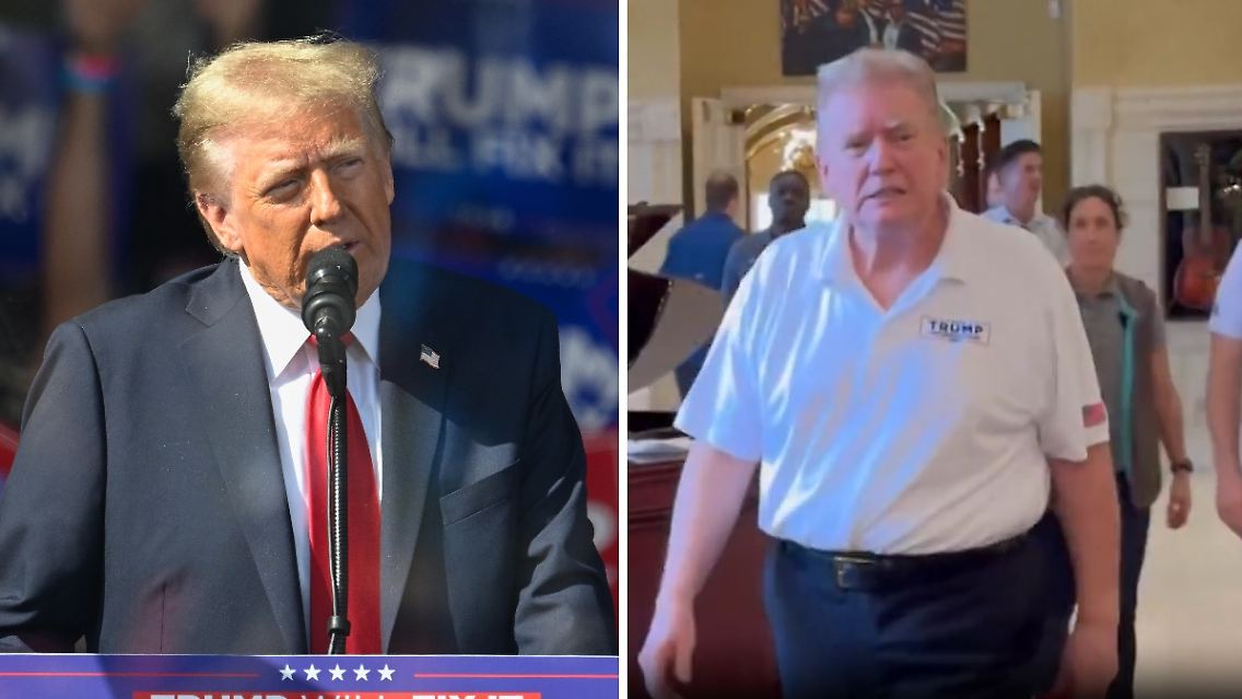 TrumpsHaare.jpg