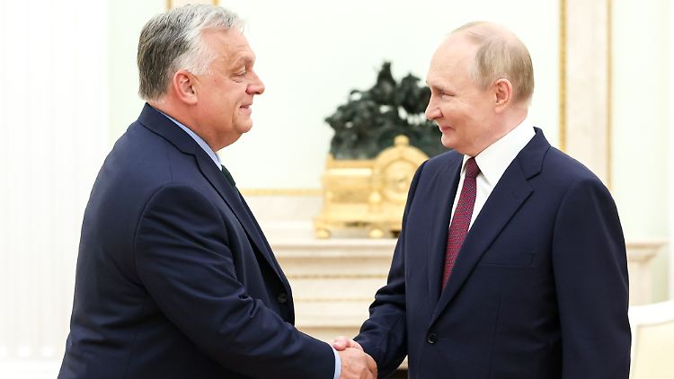 Demonstrierten im Juli Geschlossenheit: Orban (l) und Putin.