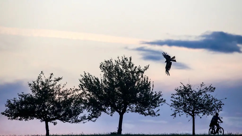 Ein-Radfahrer-ist-am-Morgen-kurz-vor-Sonnenaufgang-unterwegs