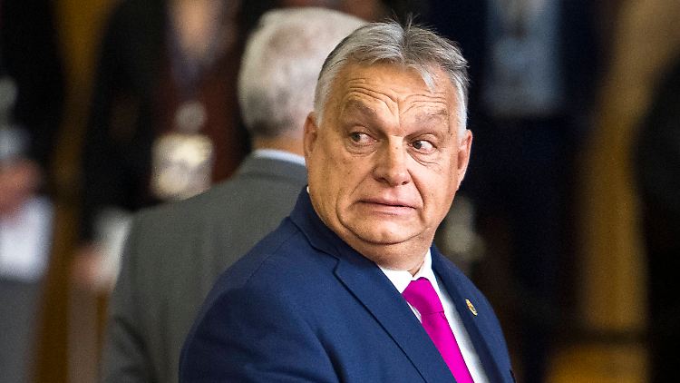 Kann sich vorstellen, weiteren polnischen Ex-Politikern Asyl zu gewähren: Ungarns Regierungschef Viktor Orban.