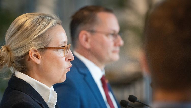 Die beiden Parteivorsitzenden der AfD: Alice Weidel und Tino Chrupalla.