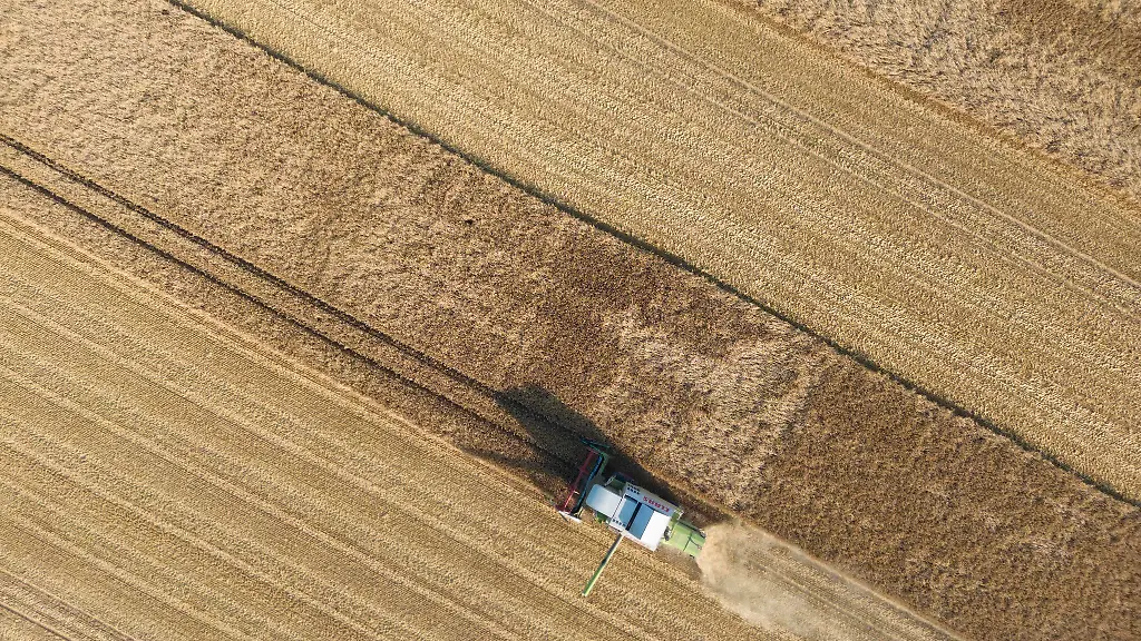 Ein-Landwirt-maeht-mit-einem-Maehdrescher-ein-Getreidefeld