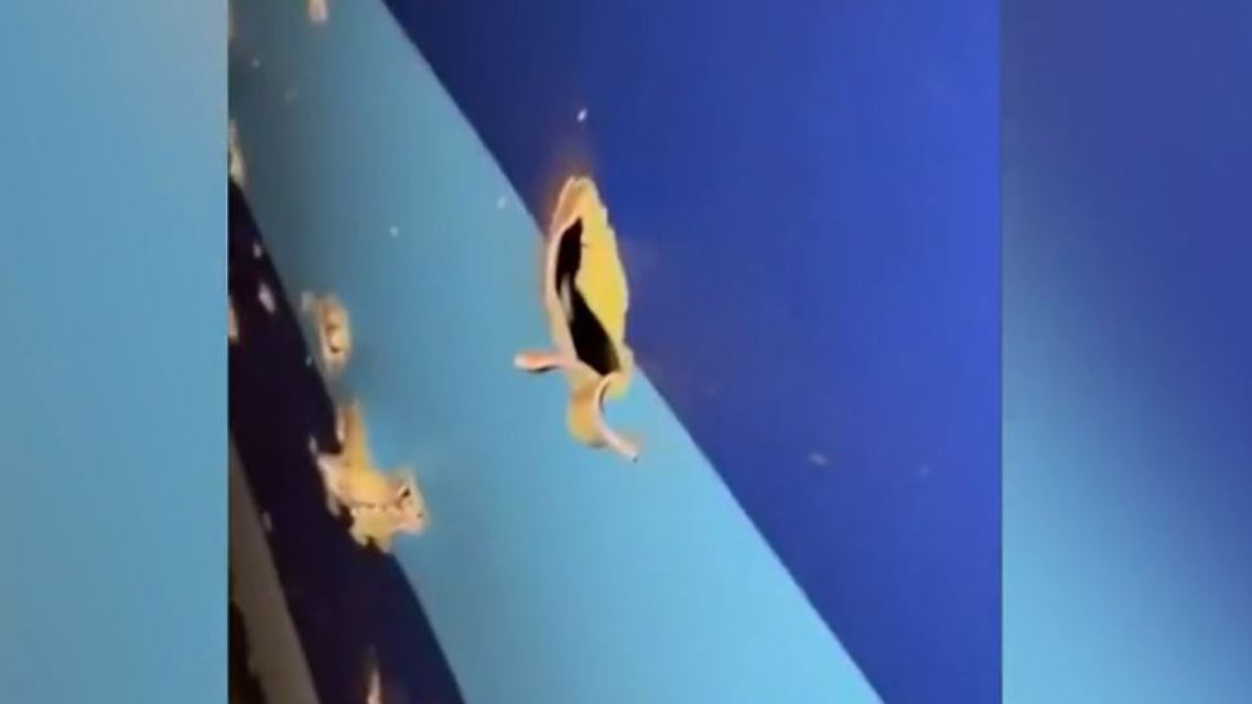 löcher.JPG