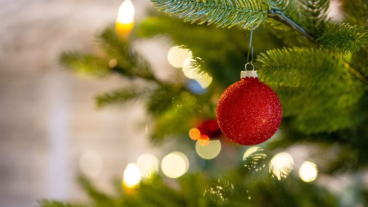 Essen oder lieber nicht, das hängt vom Baum ab.