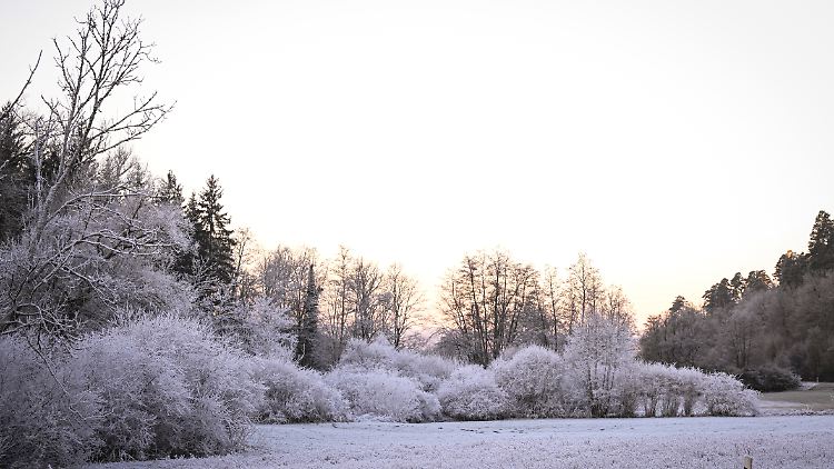 Es könnte in einer Woche winterlich kalt werden.