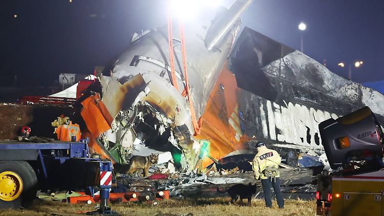 Nach dem Vogelschlag in Südkorea blieb vom Flugzeug nur ein Wrack übrig.