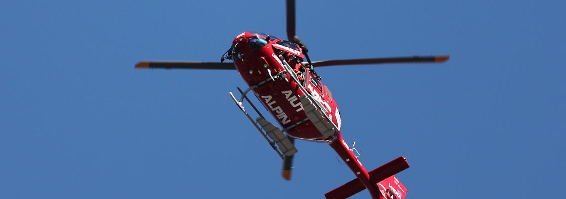 499818599.jpg