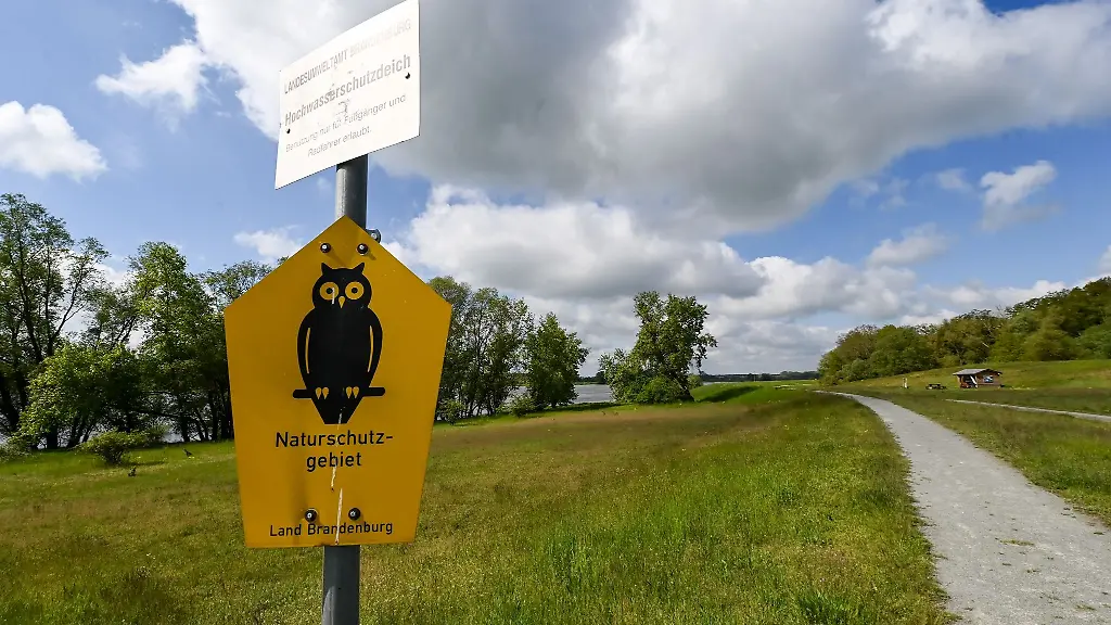 Ein-Schild-weist-an-einem-Deich-an-der-Elbe-auf-das-Naturschutzgebiet-Biosphaerenreservat-Flusslandschaft-Elbe-Brandenburg-hin