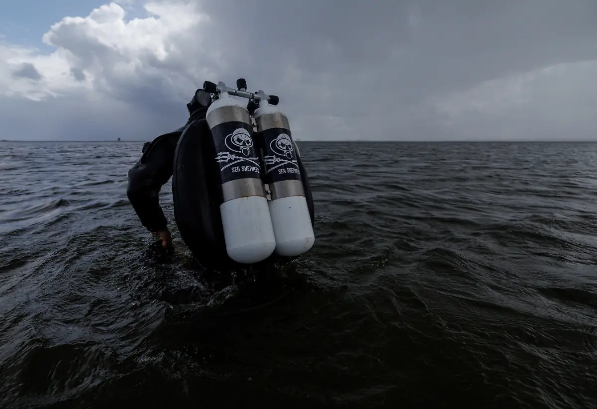 2023-07-26T100504Z-1662993117-RC2YU1AOAY2D-RTRMADP-3-GERMANY-CLIMATE-SEAGRASS