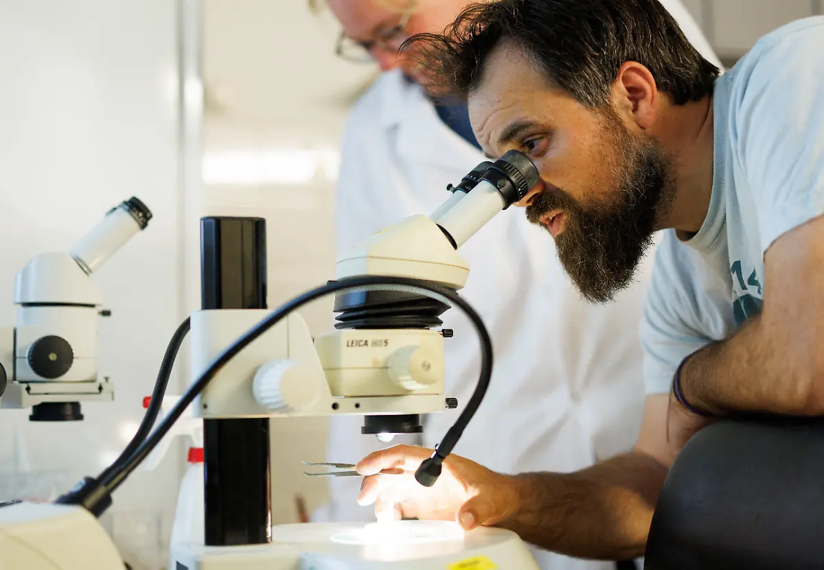 2023-07-26T100457Z-1877061496-RC2PN1AURLB3-RTRMADP-3-GERMANY-CLIMATE-SEAGRASS