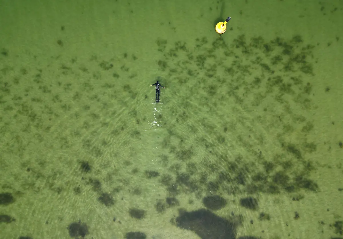 2023-07-26T100450Z-504545947-RC2ZM1AZLSY6-RTRMADP-3-GERMANY-CLIMATE-SEAGRASS